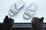Schnee