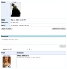 Myspace Bulletin-1